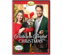 Picture a Perfect Christmas [DVD]