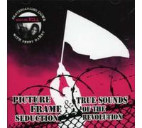 PICTURE FRAME SEDUCTION/TRUE SOUND OF THE REVOLUTION - SKATEBOARDING DOWN MERLINS HILL WITH PENNY HARRY