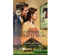 Picture Of Perfection (ebook)