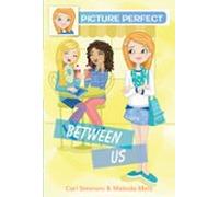 Picture Perfect #4: Between Us (ebook)