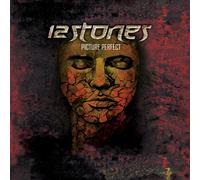 12 Stones - Picture Perfect [Vinilo]