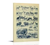 Pictures of Various Animals Modern Home Kitchen Dormitory Kids Room Mural 12x18inch (30x45cm)