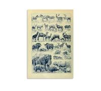 Pictures of Various Animals Modern Home Kitchen Dormitory Kids Room Mural 12x18inch (30x45cm)
