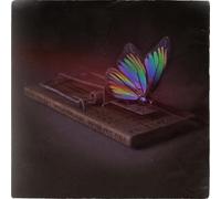 Picturesque Do You Feel O.k? (CD) (Importación USA)