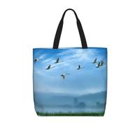 Pidgazdfgv Bolsa de la compra con diseño de pájaros volando sobre el cielo, respetuosa con el medio ambiente, para escuela, trabajo, laptop, mujeres y niñas, bolso de mano para uso