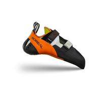 Pie de gato BOREAL CRUX - CD 41