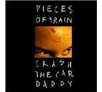 PIECES OF BRAIN - Crash The Car Daddy