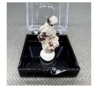 Piedra de Cristal Caja de muestras minerales de simbiosis Natural, tamaño 3,4 cm Collar con Soporte para Piedra de Cristal(Type D)