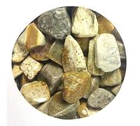 Piedra de jade coral natural de 100 g, 15-40 mm, piedra de crisantemo, grava, piedra original para paisajismo, adornos de piedra decorativa, 100 g, 15-40 mm