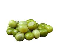 Piedra de Peces, Piedras rodantes de Jade limón Natural for peceras, macetas y decoración Budista (2-3 cm, 500 g/1000 g)(2-3cm500g)