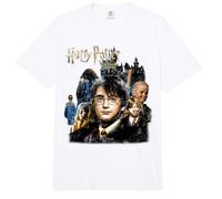 Piedra filosofal de Harry Potter | Mercancía Oficial | WBUHPT02 Comfort Colors Adult Heavyweight T-Shirt