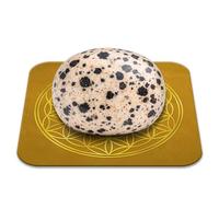 Piedra Jaspe Dálmata Pulida 2-3 cm Calidad Premium | Anclaje, Optimismo, Protección | Flor de la Vida Incluida | Guía Práctica & Meditación Ofrecidos | Regalo Zen Bienestar | 1 unidad