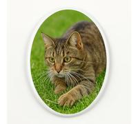 Piedras conmemorativas personalizadas para mascotas, foto eterna de porcelana con retratos vívidos, texto a color, regalos para alguien que perdió a un ser querido, mascota, perro, gato (mini)