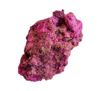 Piedras Decorativas: Juego de Naturales para Acuario, muestras de minerales de jardín, colección única de guijarros para Plantas de Interior, exhibición, decoración de terraza, Mesa de salón