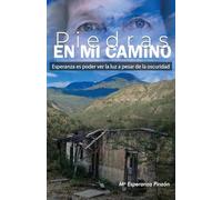 Piedras en mi Camino