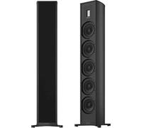Piega Premium 701 Wireless Gen2 negro (lote de 2) - Altavoz inteligente inalámbrico, Apple Music, Spotify, Roon Ready