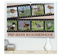 PIEP-SHOW im Ochsenmoor (hochwertiger Premium Wandkalender 2026 DIN A2 quer), Kunstdruck in Hochglanz: Das Fotografieren von Vögeln im Ochsenmoor kann ... Geduld und das richtige Equipment mitbringst.