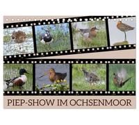 PIEP-SHOW im Ochsenmoor (Tischkalender 2026 DIN A5 quer), CALVENDO Monatskalender: Das Fotografieren von Vögeln im Ochsenmoor kann sehr lohnend sein, ... Geduld und das richtige Equipment mitbringst.