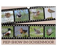 PIEP-SHOW im Ochsenmoor (Wandkalender 2026 DIN A4 quer), CALVENDO Monatskalender: Das Fotografieren von Vögeln im Ochsenmoor kann sehr lohnend sein, ... Geduld und das richtige Equipment mitbringst.
