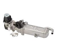 Radiador de gases de escape Acero fino 7.09720.00.0 PIERBURG para VW SEAT SKODA