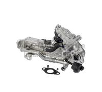 PIERBURG Elemento enfriador reciclaje gases escape BMW 2,0 11718513691 8513691