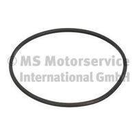 PIERBURG Junta, sensor de nivel de combustible para RENAULT: R19, Clio, Twingo, Kangoo, Laguna, Mégane, Mégane Classic, Modus (Ref: 3.32038.02.0)