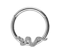 PIERCINGLINE Clicker de anillo de segmento de acero quirúrgico | SERPIENTE | Piercing Anillo Nariz Tabique Oreja Helix Tragus | Diámetro interior 10 mm color plata