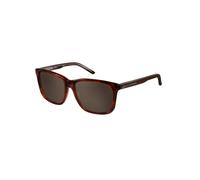 Pierre Cardin Hombre P.C. 6171/S DID/EJ Gafas de sol outlet Plástico la Habana Cuadrada Normal