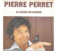 Pierre Perret - A cause du Gosse / Ca va t'fair' du bien [Vinyle 45 tours 7"]