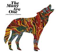 Piers Faccini - The many are one