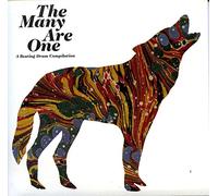 Piers Faccini - The many are one (Vinyl) [Vinilo]