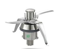 PIESSEONLINE - Grupo de Cuchillas Compatible con Bimby TM 21 - Material Acero - Cantidad 1