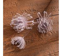 Pieza de decoración inspirada en Leucospermum con silueta equilibrada que funciona bien en temas interiores minimalistas o en capas con facilidad de colocación (rosa)