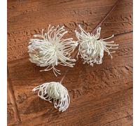 Pieza de decoración inspirada en Leucospermum con silueta equilibrada que funciona bien en temas interiores minimalistas o en capas con facilidad de colocación (blanco)