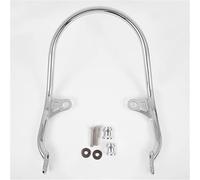 Pieza de Motocicleta Accesorios para Motocicletas, Barra De Agarre para Asiento Trasero Pasajero, Apoyabrazos Acero Inoxidable para Kawasaki Z 900RS SE ABS 2018-2024 2023 2022 2021(Chrome)