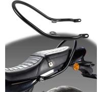 Pieza de Motocicleta para Kawasaki Z900 RS ABS 2018-2024 2019 2020 2021 2022 Accesorios para Motocicletas Reposabrazos De Acero Inoxidable para Pasajero Protector Apoyabrazos Lateral(Nero)