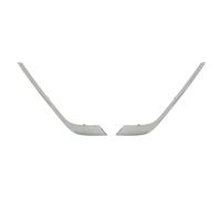 Parachoques Listón Delante Izquierda Derecha Para: RENAULT TALISMAN 06.15-12.19