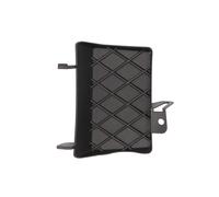 Pieza de parachoques BLIC 5513-00-3206921PP