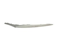 Moldura del parachoques Frontal del vehículo 6502-07-3535925P BLIC