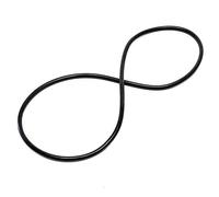 Pieza de repuesto: SunSun CPF-280/CPF-380/CPF-500 Tapa del filtro con junta tórica