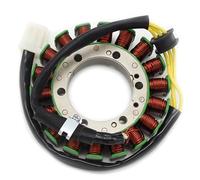 Pieza Magneto estator Bobina Estator Magneto Alternador Motocicleta para Ducati 1098 para Standard 2007 2008 S