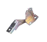 Piezas de capó BLIC 6003-00-0385P