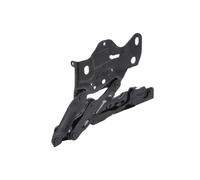 Piezas de capó BLIC 6802-00-0097451P