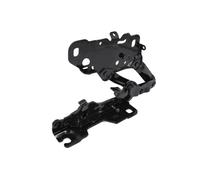 Piezas de capó BLIC 6802-00-0098451P