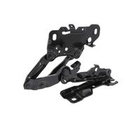 Piezas de capó BLIC 6802-00-0098452P