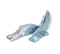 Piezas de capó BLIC 6802-00-3754451P