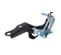 Piezas de capó BLIC 6802-00-8115451P