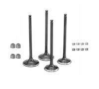 Piezas de cilindro moto Kit de cigüeñal, válvula y culata de 75mm apto para 300 GTS300 GTV300 apto para SR 300 SR300 GTS 300 Kit de modificación de cilindro(Valves)