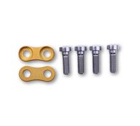 Piezas de fijación LSL para 2Dsdodo de sistema de descanso. Alcance de entrega: 1 par de tornillos incl., oro