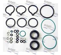 Piezas de motor > Inyección y carburación > Kit de reparación, sistema common rail
